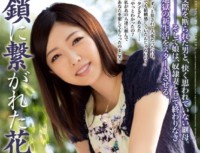 RBD 578 5 Ai Haneda Bride That Was In Chains